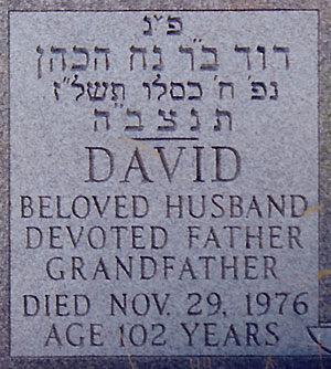 David Steinberg's headstone (close-up)