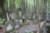 Warsaw Jewish Cemetery graves deep inside